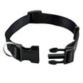 thumbnail image 2 of Pet Artist Adjustable Durable Nylon Dog Collar with Quick-Fit Buckle and D-Ring - Multiple Colors Available, 2 of 6