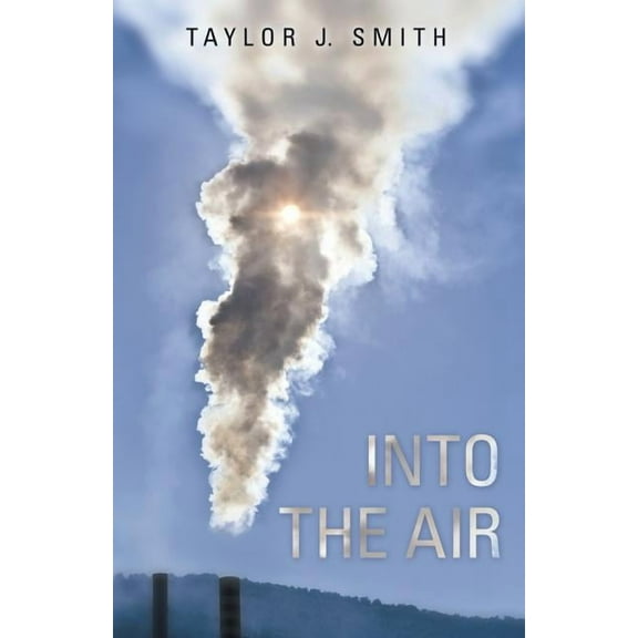 Into the Air (Paperback)