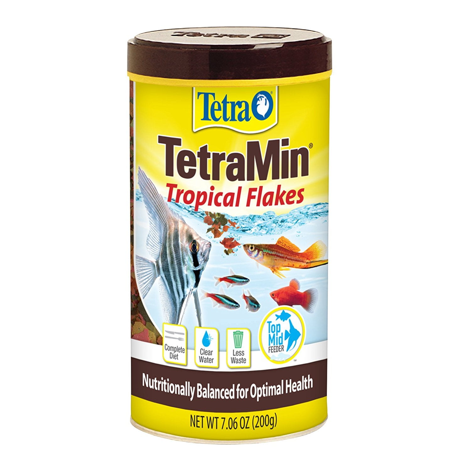 Tetra TetraMin XL Tropical Flakes 2.82 Ounces, Large Flakes, Nutritionally  Balanced Fish Food, Tetra TetraMin Large Tropical Fish Flake Food, 2.82 oz