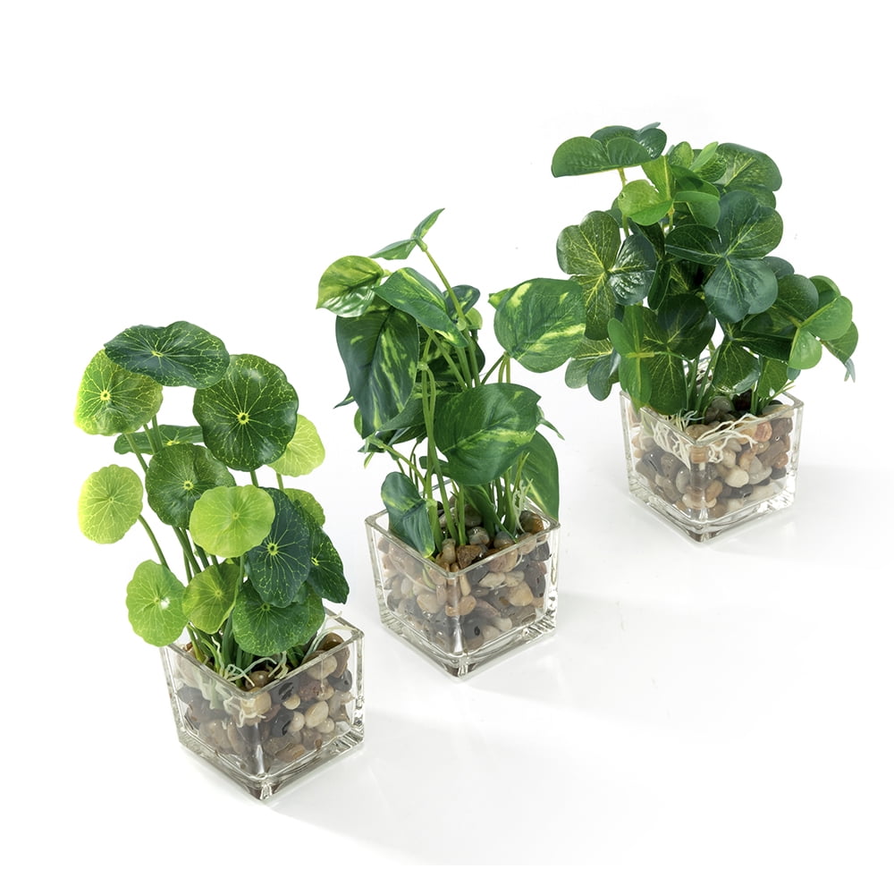 K-Cliffs 3pcs Modern Artificial Green Mini Faux Plants  in Glass Pots, Each plant- 5.7L x 5.7W x 9.3H inches; each pot- 2.7L x 2.7W x 2.6H, 1 lb