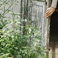 thumbnail image 1 of unbranded 2Ud Soporte Para Plantas Trepadoras De Jardín Con Natural Y Material Resistente De Hierro, 1 of 8