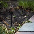 thumbnail image 4 of MasteelfCA Solar Owl Landscape Light Owl Shape Garden Plug Lamp Owl Garden LED Lights, 4 of 7
