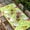 Green, variant on Desert Sand Camels Table Cloths for 5 Foot Rectangle Tables, Palm Trees Tropical Plants Polka Dot Yellow Patio Waterproof Elastic Fitted Tablecloths, Washable Rectangular Table Cover for Camping