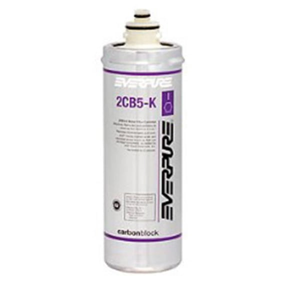 Everpure - 4CB5 - Water Dispenser/Steam Equipment Replacement Water Filter Cartridge