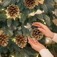 thumbnail image 7 of 10 Pcs Christmas Pine Cones Picks,3.15-3.95 Inch Natural Pine Cones,Christmas Pinecones for Vase & Bowl Fillers, Gold Pine Cones for Christmas Tree, Holiday Wreath Ornaments DIY Craft Decorations, 7 of 7