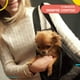thumbnail image 4 of Mochila Transportadora para mascota Poli Pets Jaula Mediana GDE, 4 of 9
