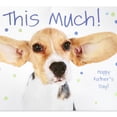 thumbnail image 3 of American Greetings Silly Father's Day Card for Dad (This Much!), 3 of 5