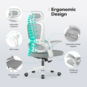 SIHOO M102C Ergonomic Office Chair, Mesh Desk Chair with Adjustable 3D Armrests, Lumbar Support, 2D Headrest, Tilt, White