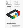 The Efficiency Paradox: What Big Data Can't Do [Paperback - Used]