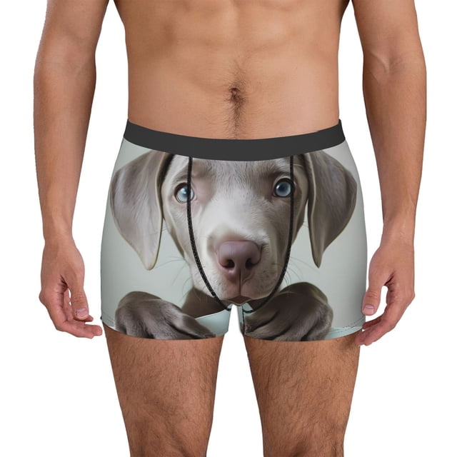 Fotbe Adorable Puppy Portrait Calzoncillos Tipo Boxer con Bolsa de Soporte Total para Hombre, X-Temp Fresco, Transpirable y de Secado Rápido-Medium