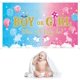 thumbnail image 3 of Gender Reveal Backdrop Gender Reveal Party Supplies Boy or Girl Gender Reveal Backdrop Blue Pink What Will Baby Be Banner Sign Baby Shower Backdrop, 3 of 4