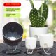 thumbnail image 5 of Maceta de plástico con absorción de agua automática para perezosos, maceta de cerámica de imitación simple, cesta de rosas verdes, maceta hidropónica para interiores, 5 of 5