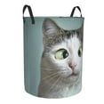 thumbnail image 2 of Balery Funny Cat Round Laundry Basket with Handles Waterproof Freestanding Laundry Hamper for Clothes Toys in the Dorm and Family-Medium, 2 of 8