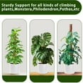 thumbnail image 2 of 4 Pack 17 Inch Stackable Moss Pole for Plants, Coconut Coir Plant Support Stakes for Indoor Climbing Plants, 2 of 6