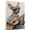 American Hairless Terrier, variant on Siberian Husky Dog Playing Ukelele Wall Stretched Canvas Size 8x12 – Siberian Husky Canvas Art for Dog Lovers, Ukelele Canvas Wall Decor