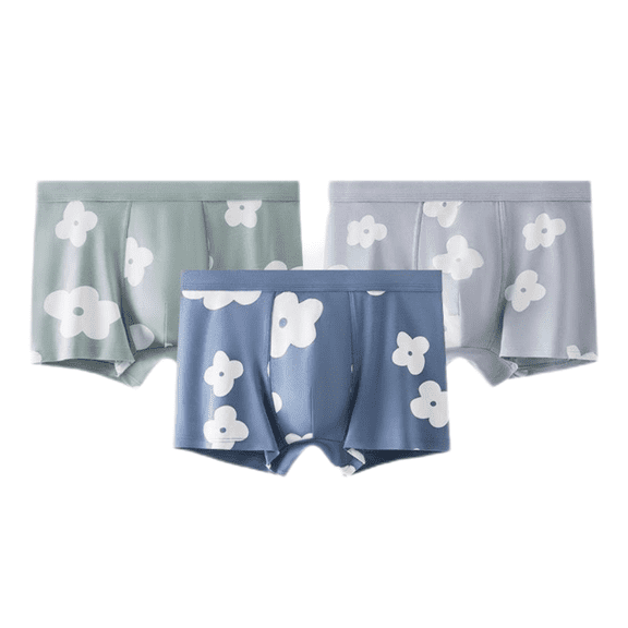 LYMAYTER Men's Boxer Briefs Ultra Soft Micro Modal Support Pouch Trunks Underwear Moisture Wicking Briefs 1Pack