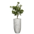 thumbnail image 1 of Artificial Tung Tree 52" Fake Plant Real Touch with Planter, 1 of 3