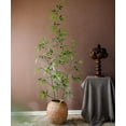 thumbnail image 4 of Artificial Bamboo Stem Faux Screen Plant Set of 10, 4 of 9