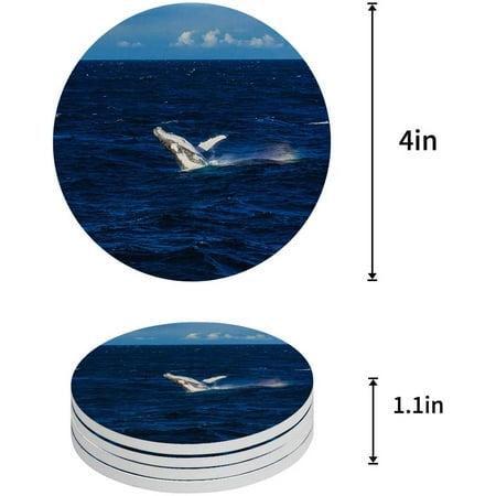 

ZHANZZK Whale Set of 4 Round Coaster for Drinks Absorbent Ceramic Stone Coasters Cup Mat with Cork Base for Home Kitchen Room Coffee Table Bar Decor
