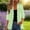 Green, variant on Women Solid Chiffon Lightweight Duster Coat in V Neck Cutting for Daily Leisure Outer Matching
