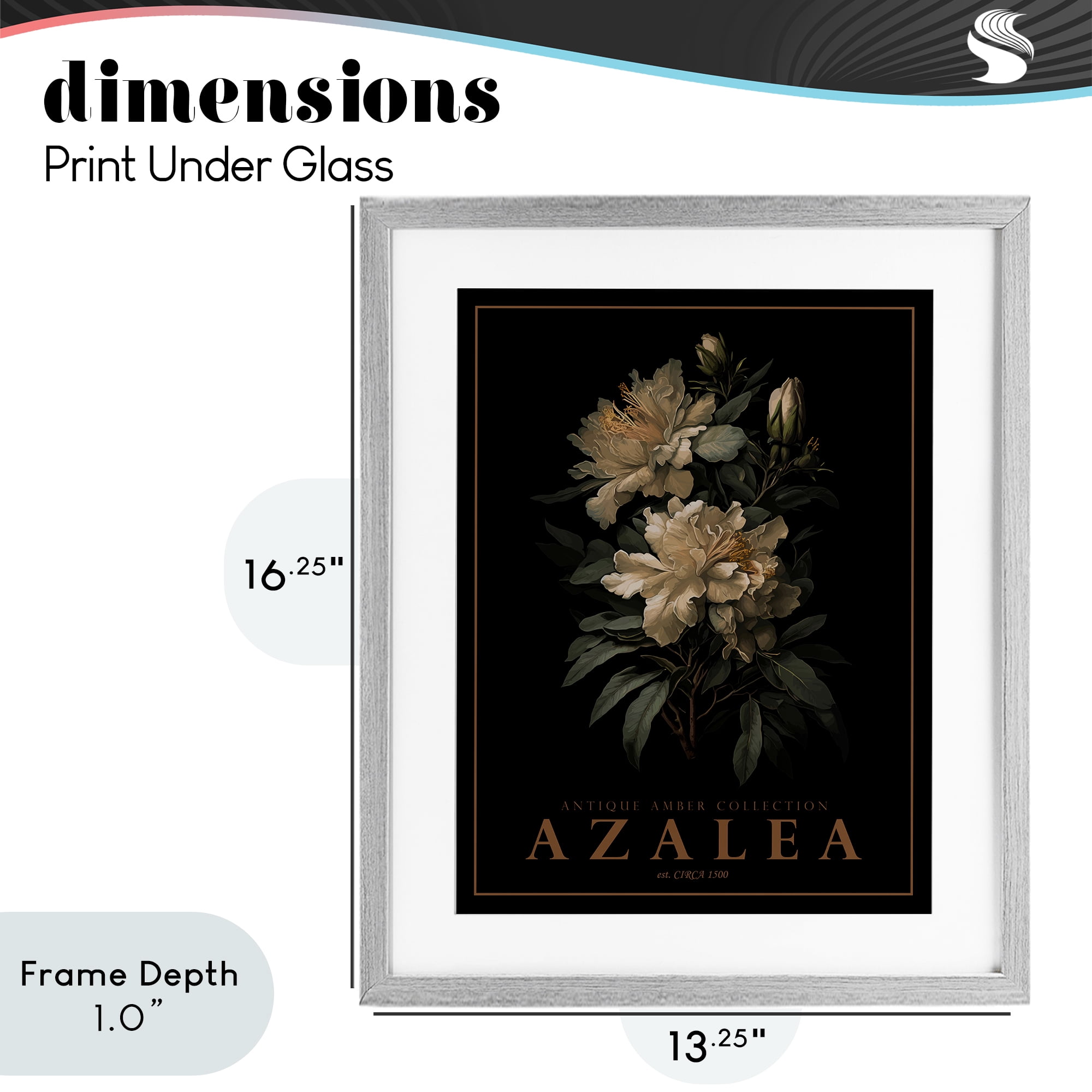 Stupell Industries Antique Azalea Bushel Gray Framed Print Under Glass, design by Christopher Giampietro