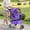 Purple, variant on XF XINFENG Pet Stroller, 4 Wheel Foldable Dog Cat Stroller for Small Medium Dogs & Cats, 33 lbs Capacity Jogger Stroller with Cup Holder & Storage Basket, Black