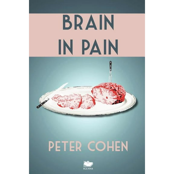 Brain in Pain: A Wounded Healer's Heart-Wrenching and Heart-Warming Guide to Schizophrenia, (Paperback)