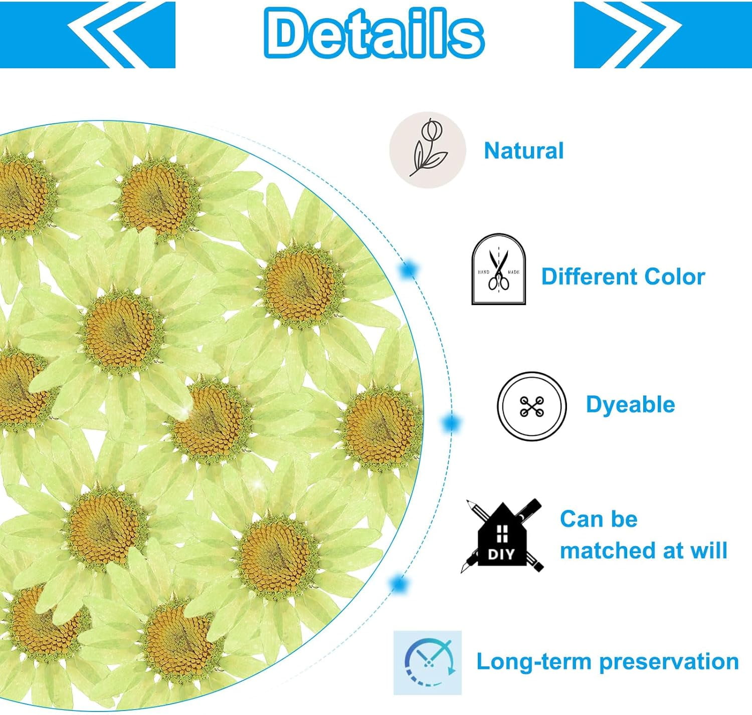 Dalrosia 48PCS Dried Daisy Flower, Vacuum Packaging, Pressed Flower for House Decoration, Jewelry Making, Phone case Decoration