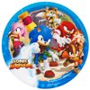 Sonic Boom Sonic The Hedgehog Party Supplies 24 Pack Lunch Plates