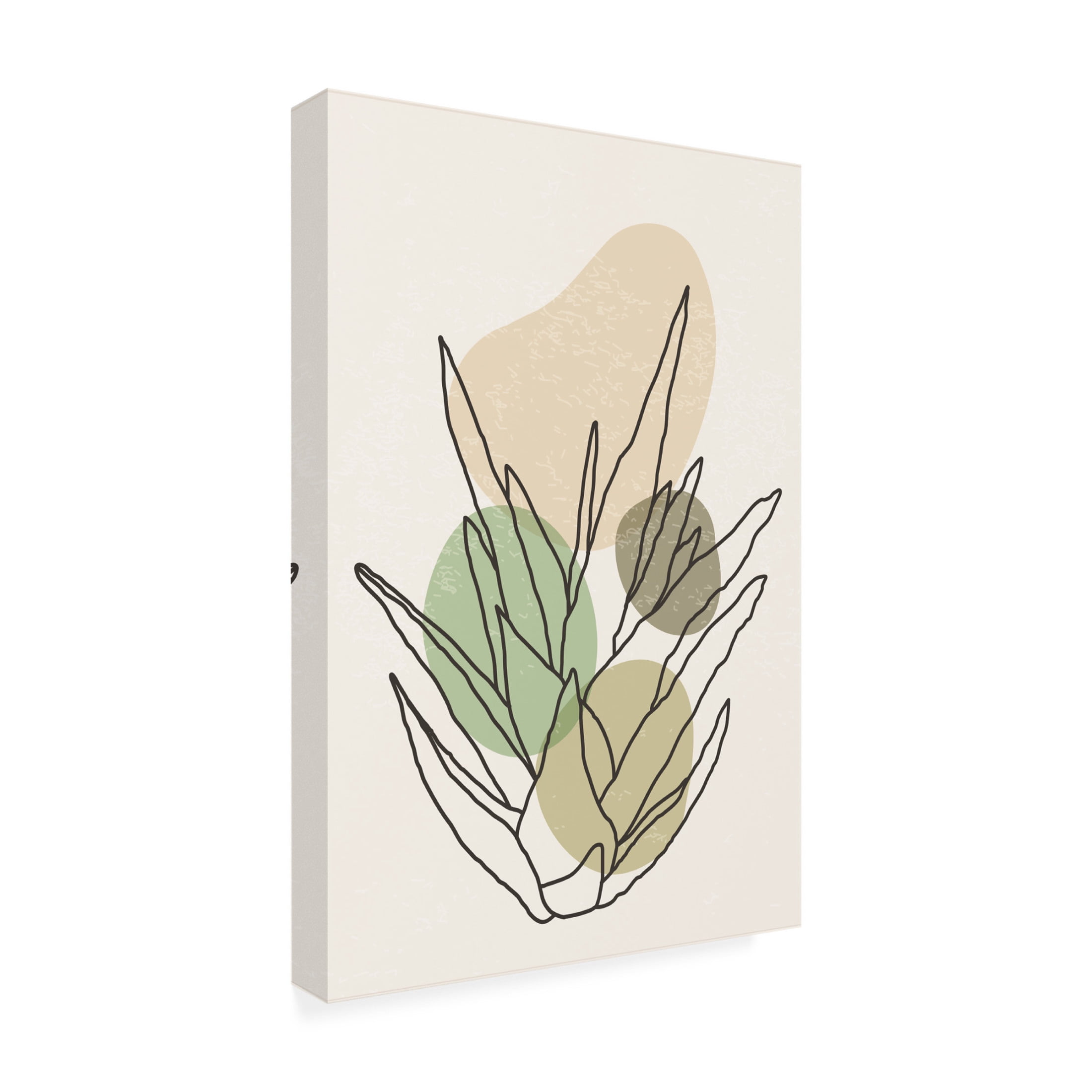 Trademark Fine Art jay stanley Color Abstract Agave 1 Canvas Wall Art