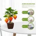 thumbnail image 3 of Bonsái de frutas, pequeños adornos creativos, decoraciones de flores de simulación, plantas verdes de simulación, 3 of 5