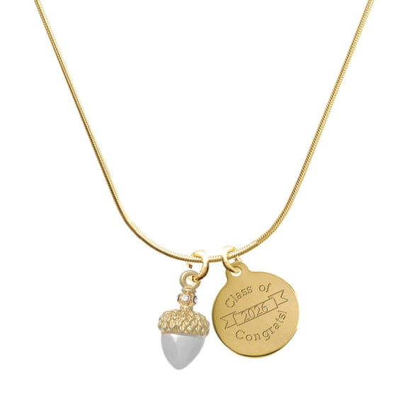 Delight Jewelry Two-tone Small Acorn with Crystals - Goldtone Engraved Congrats Class of 2026 Charm Necklace, 18"