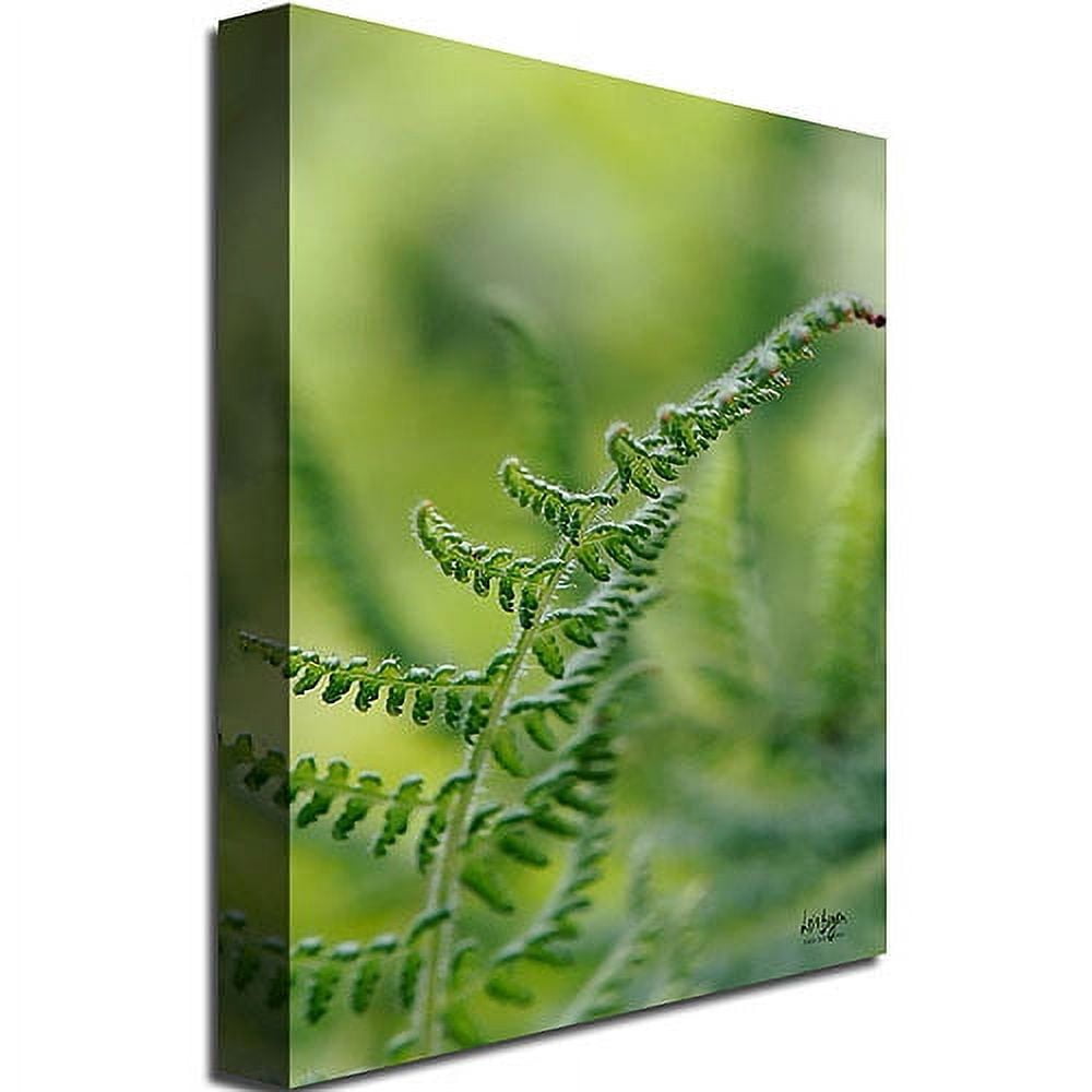 Trademark Fine Art "Fern" Canvas Wall Art by Lois Bryan