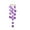 Pruple, variant on Garden Decoration Shell Wind Chimes Natural Shell Material Pearlescent Accents