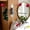 Red, variant on Vintage Style Rotating Wall Hooks with Solid Wood Accents, Multi-Functional Iron Coat Rack for Entryway and Bedroom Organization, Decorative Wall Hanger for Hats Bags and Daily Accessories