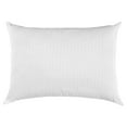 AllerEase Maximum Comfort Bedroom Pillow, Standard/Queen, 2 Pack