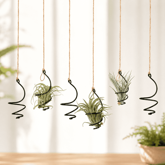 12 pcs set Hanging Air Plant Holder Air Plant Hanger with Jute Ropes, Soilless Air Plant Stand Tillandsia Succulent Display Container for Home Office Decor