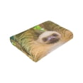 thumbnail image 6 of Wijzvio Rstick Sloths Throw Blanket Soft Fuzzy Fleece Blanket For Couch Bed Living Room Decoration 40"X30", 6 of 9