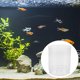 thumbnail image 1 of WASHWEPE 5Ud Accesorio De Transparente Para Acuarios Compatible Con Sistemas Externos, 1 of 8