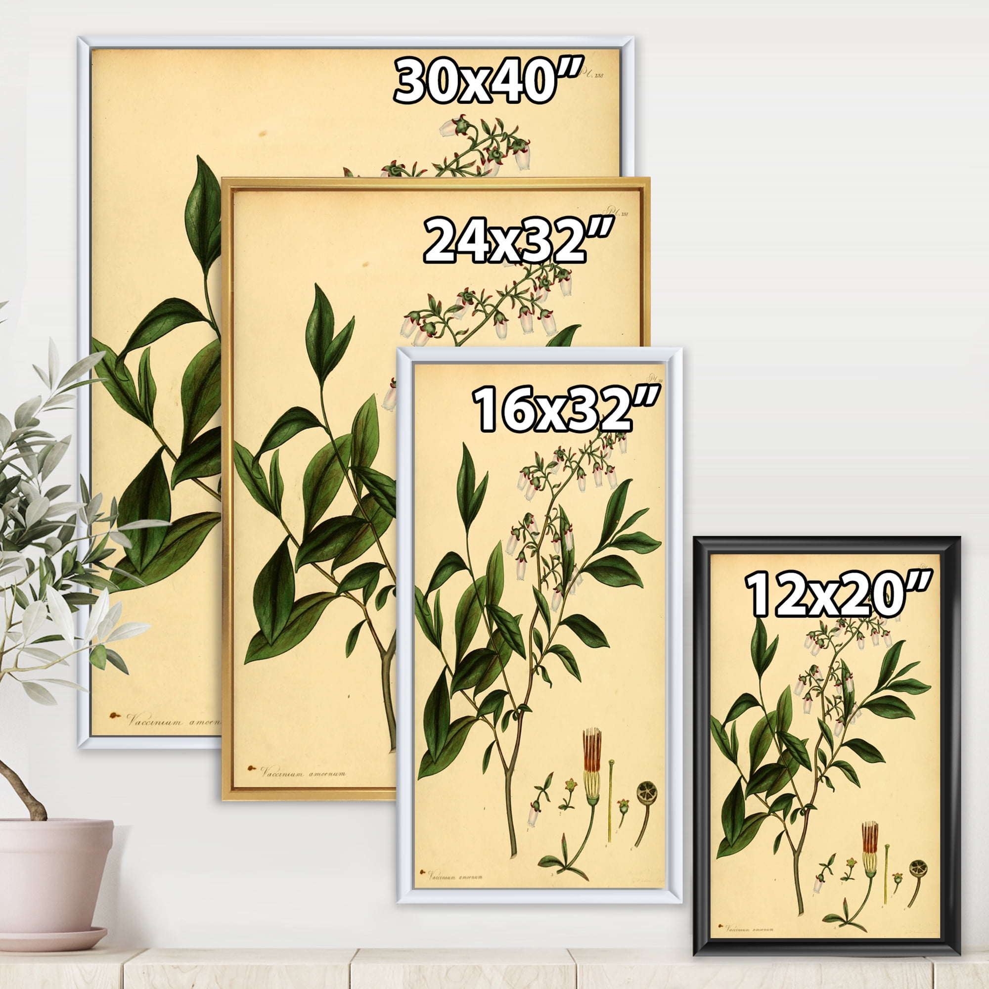 Designart 'Ancient Plant Life V' Traditional Framed Canvas Wall Art Print