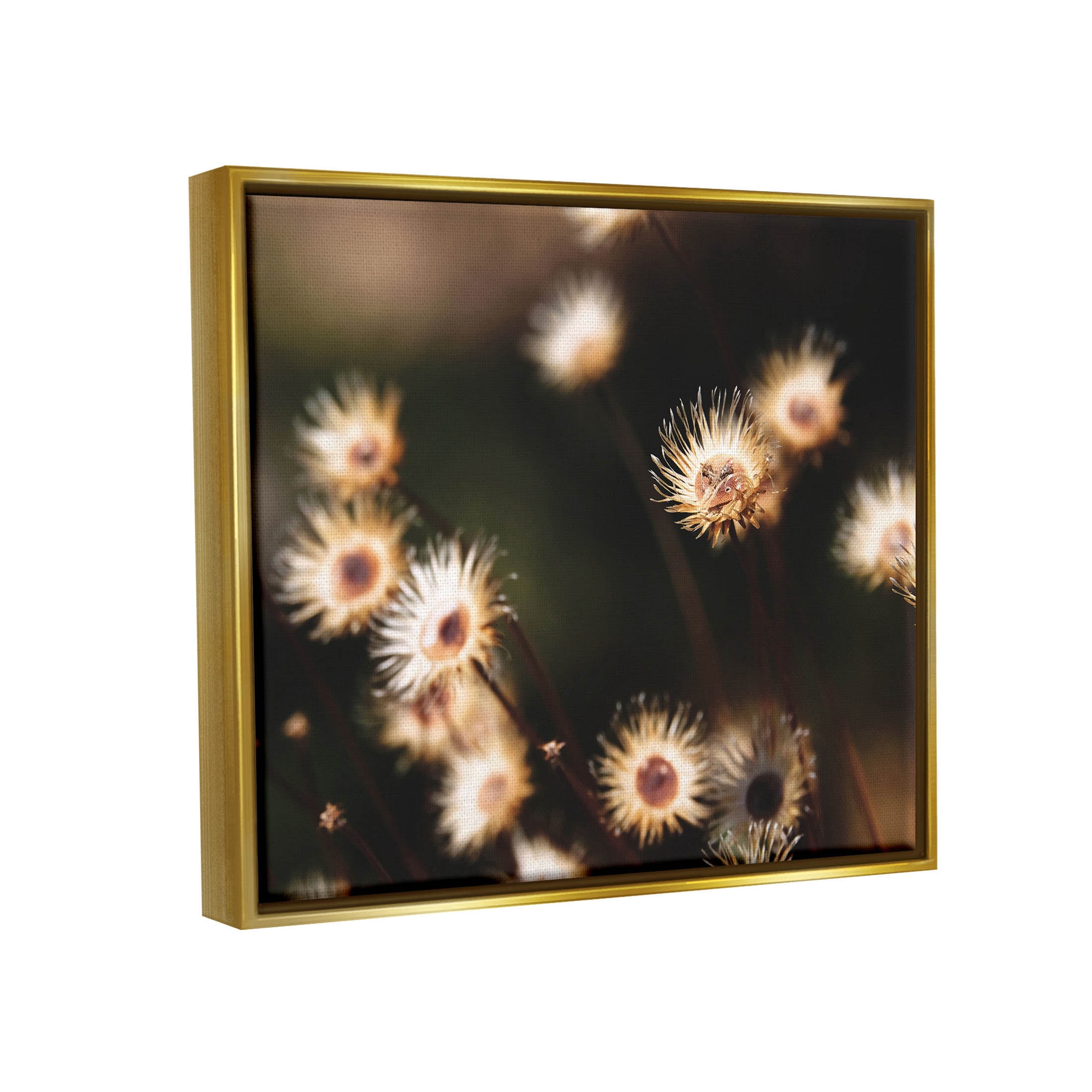 Stupell Industries Close Up Floral Buds Photograph Metallic Gold Floating Framed Canvas Print Wall Art, Design by Lil' Rue