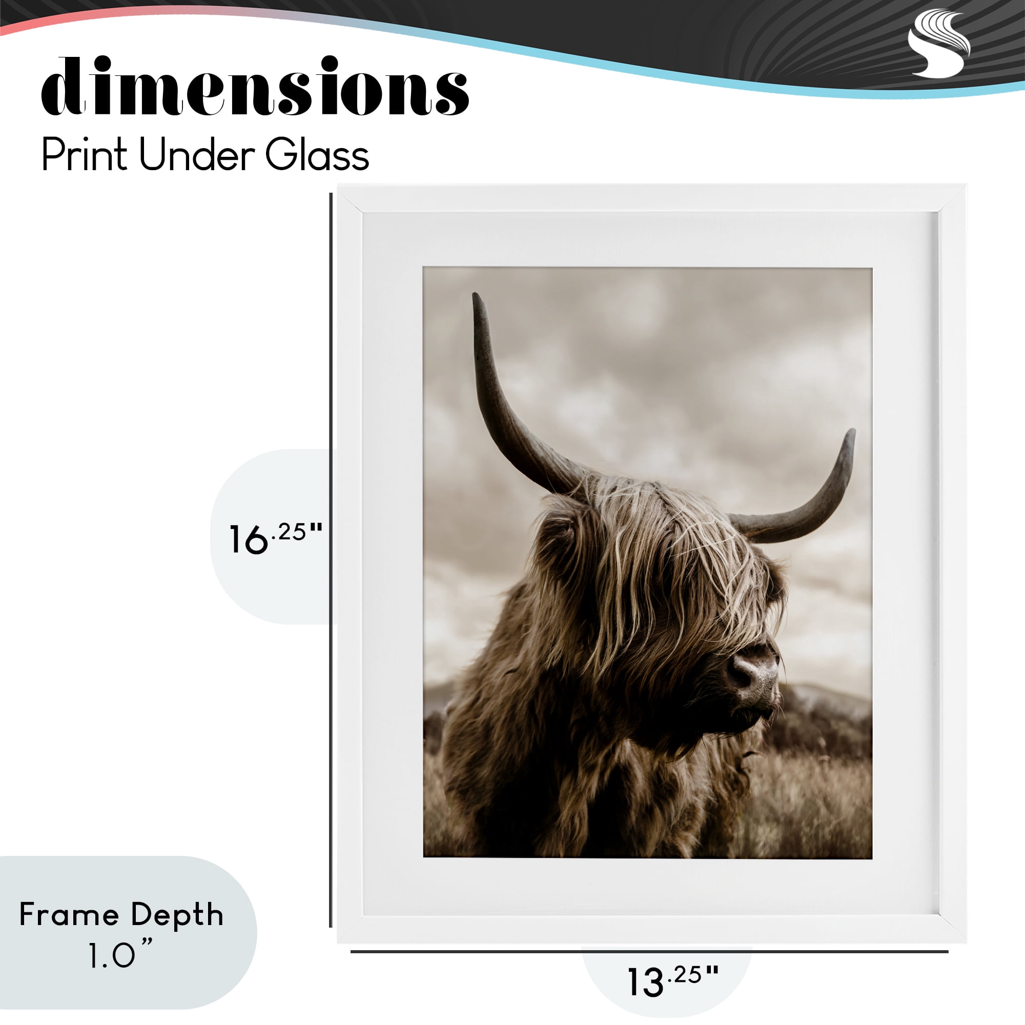 Stupell Industries Searching Cattle Gaze White Framed Print Under Glass, design by CAD Designs