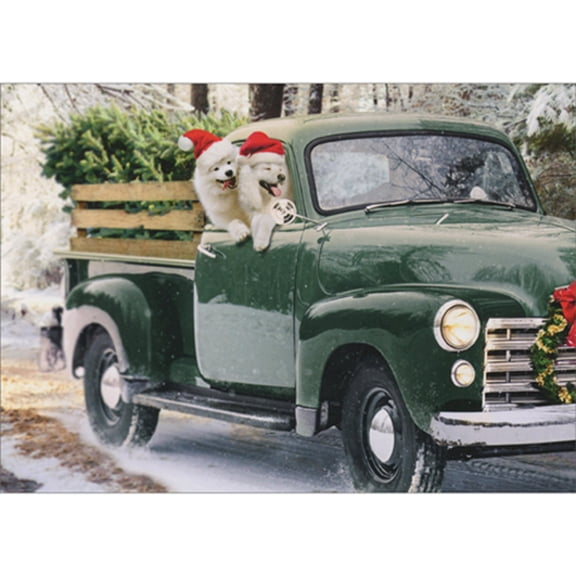 Avanti Press Two Fluffy White Dogs Hanging Out Window of Green Classic Pickup Truck Pack of 10 Christmas Cards