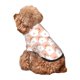 thumbnail image 5 of Balery love plaid fox Sudadera con Capucha para Perros Pequeños – Ropa para Mascotas, Disfraz para Perros y Gatos, Ideal para Fiestas y Cosplay-Medium, 5 of 7