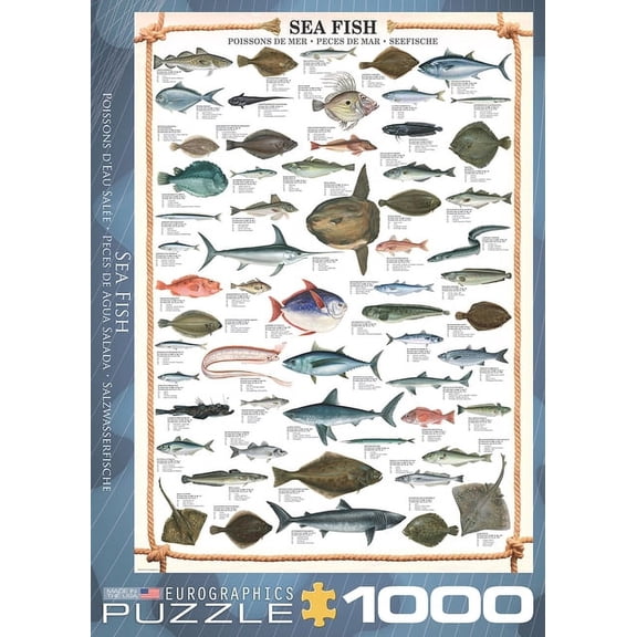 Eurographicspuzzles - Sea Fish - Jigsaw Puzzle - 1000 Pieces