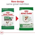 thumbnail image 2 of Royal Canin Size Health Nutrition Small Aging 12+ Senior Dry Dog Food 12 lbs., 2 of 2