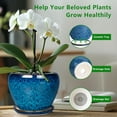 thumbnail image 4 of Ceramic Modern Glaze Succulent Planter Pot with Drainage Hole and Saucer 6 Inch Round Flower Plant Pot for Indoor Outdoor Herb Snake Plants, 4 of 4