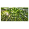 thumbnail image 2 of Design Art - Sommets de Bambou dans la Forêt de Kyoto, 2 of 3