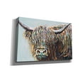 thumbnail image 2 of Epic Graffiti 'Woolly Highland I' by Carolee Vitaletti, Canvas Wall Art, 40"x26", 2 of 2