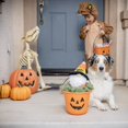 thumbnail image 5 of Huxley & Kent Divertido juguete para perro de Halloween con chirriador, juguetes de peluche para perros pequeños, medianos y grandes, animal de peluche suave para jugar y buscar en interiores, gnomo d, 5 of 5